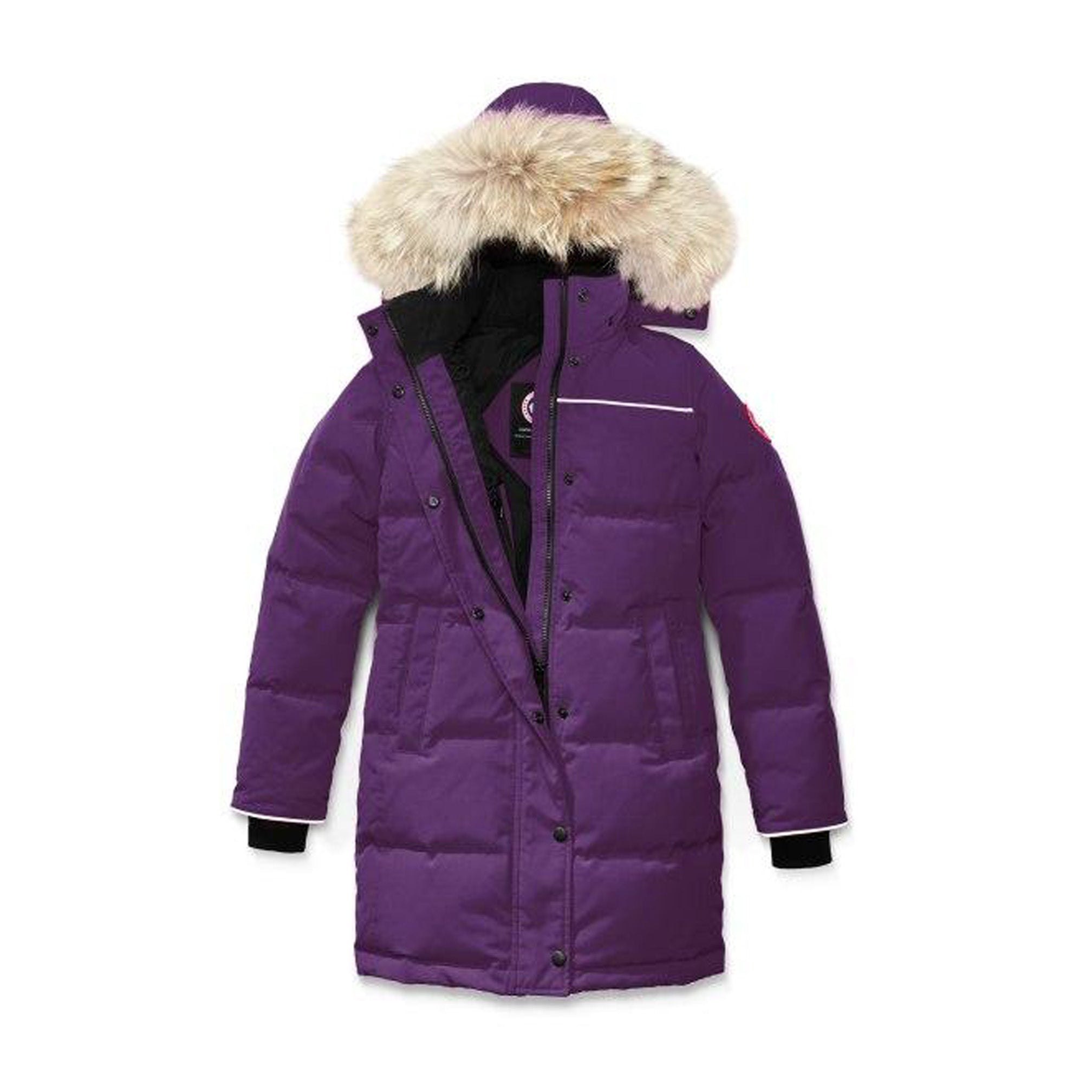 Arctic dusk 2025 canada goose