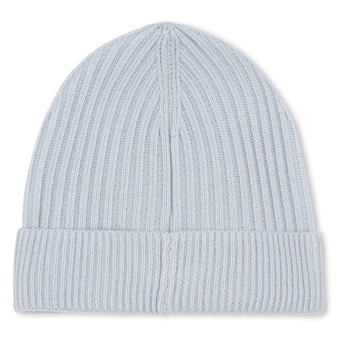 Hugo Boss Pale Blue Hat