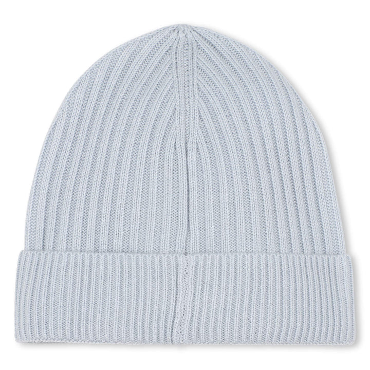 Hugo Boss Pale Blue Hat