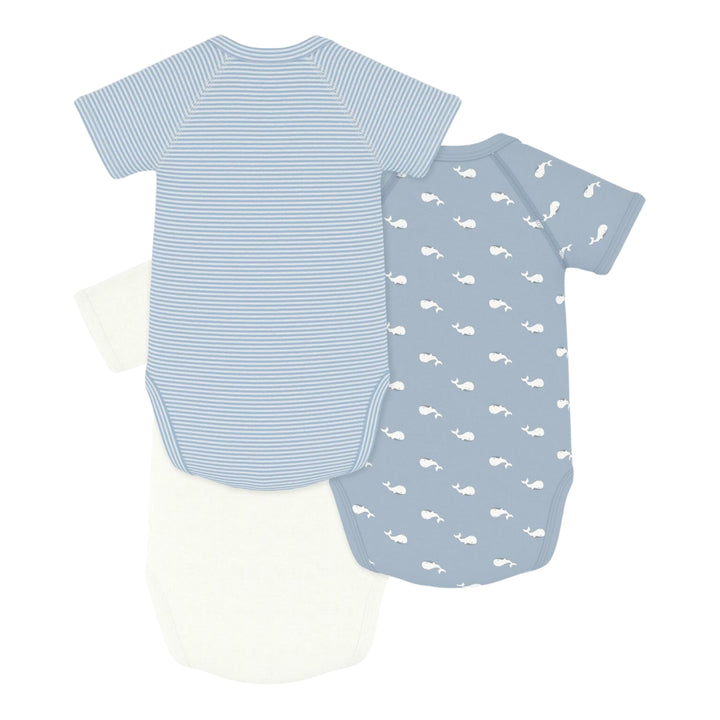 Petit Bateau Baby Boys Printed Set of 3 Bodysuits