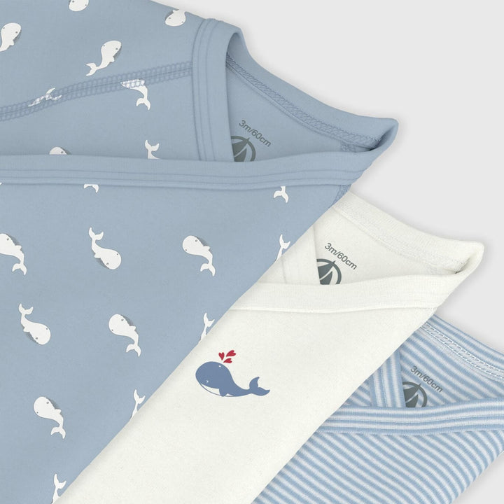 Petit Bateau Baby Boys Printed Set of 3 Bodysuits