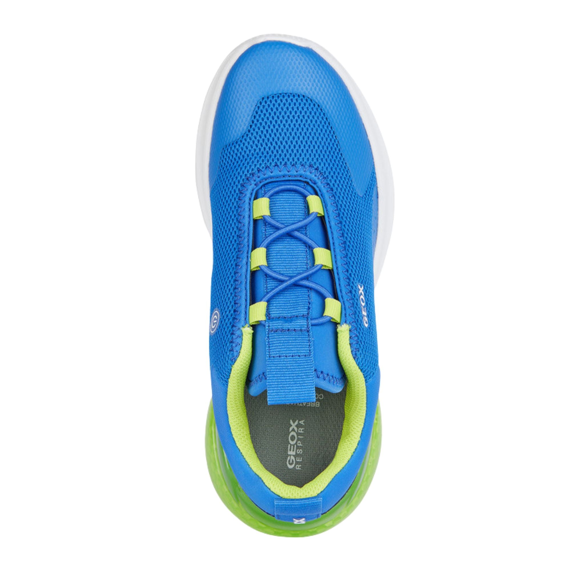 Geox Activart Illuminus Blue Sneakers