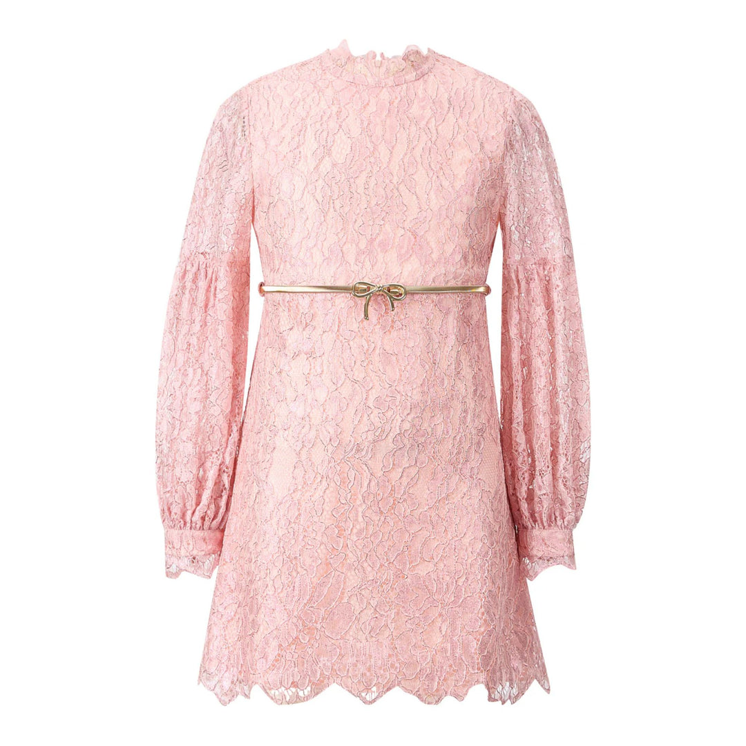 Marlo Dolly Embroidered Mini Dress