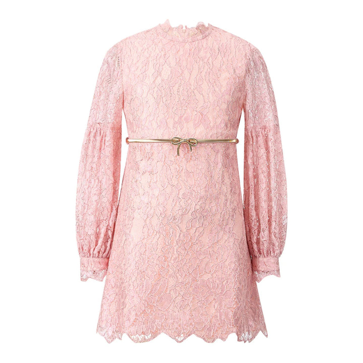 Marlo Dolly Embroidered Mini Dress