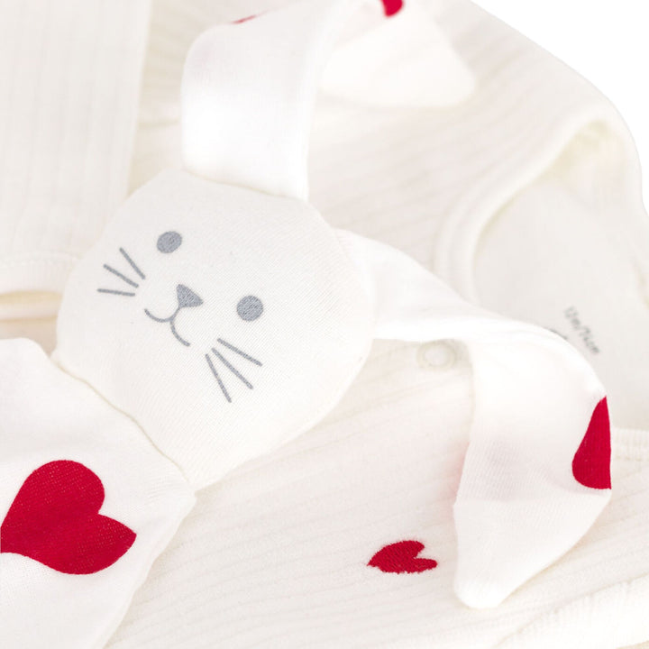 Petit Bateau Baby Velvet Gift Set
