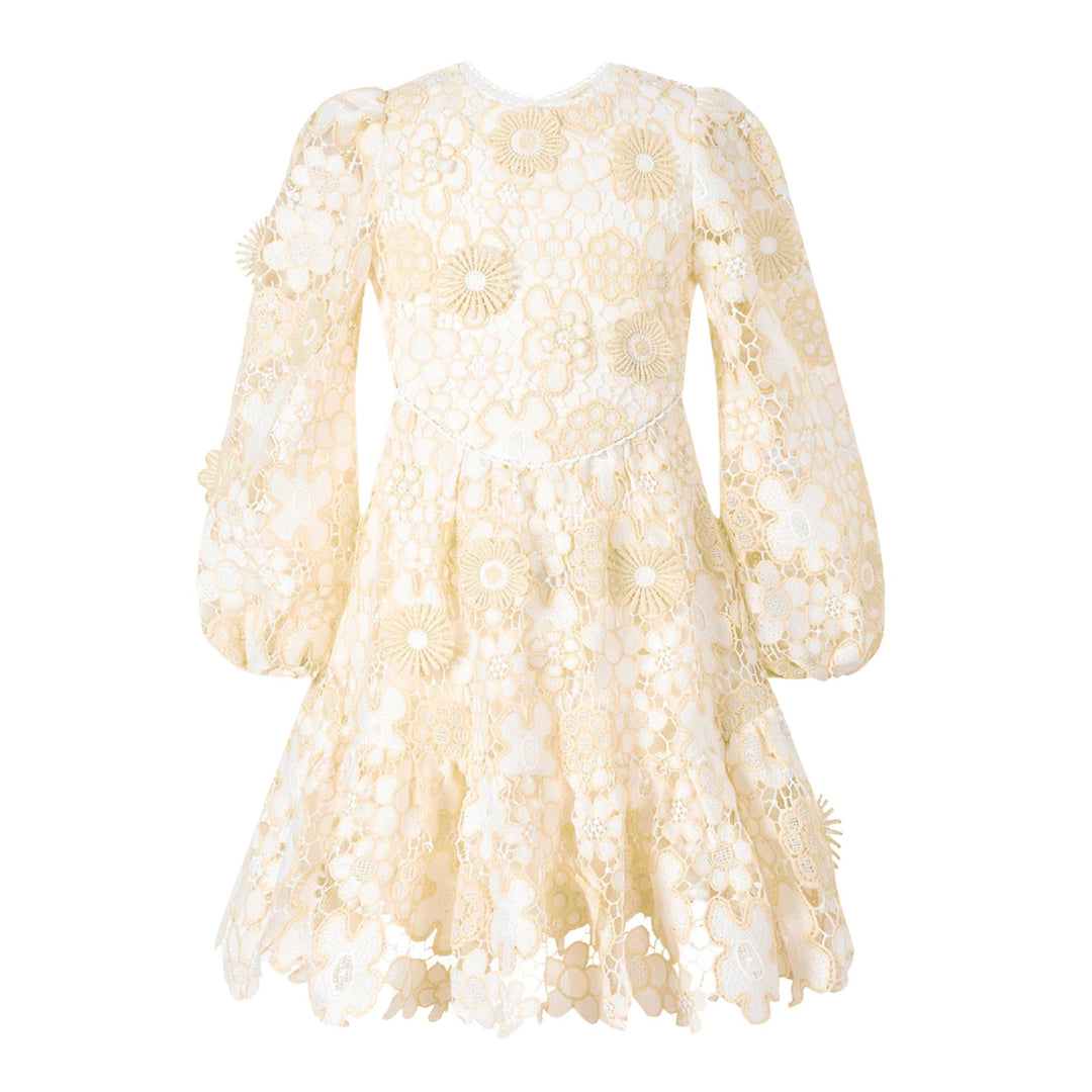 Marlo Amara Embroidered Mini Dress