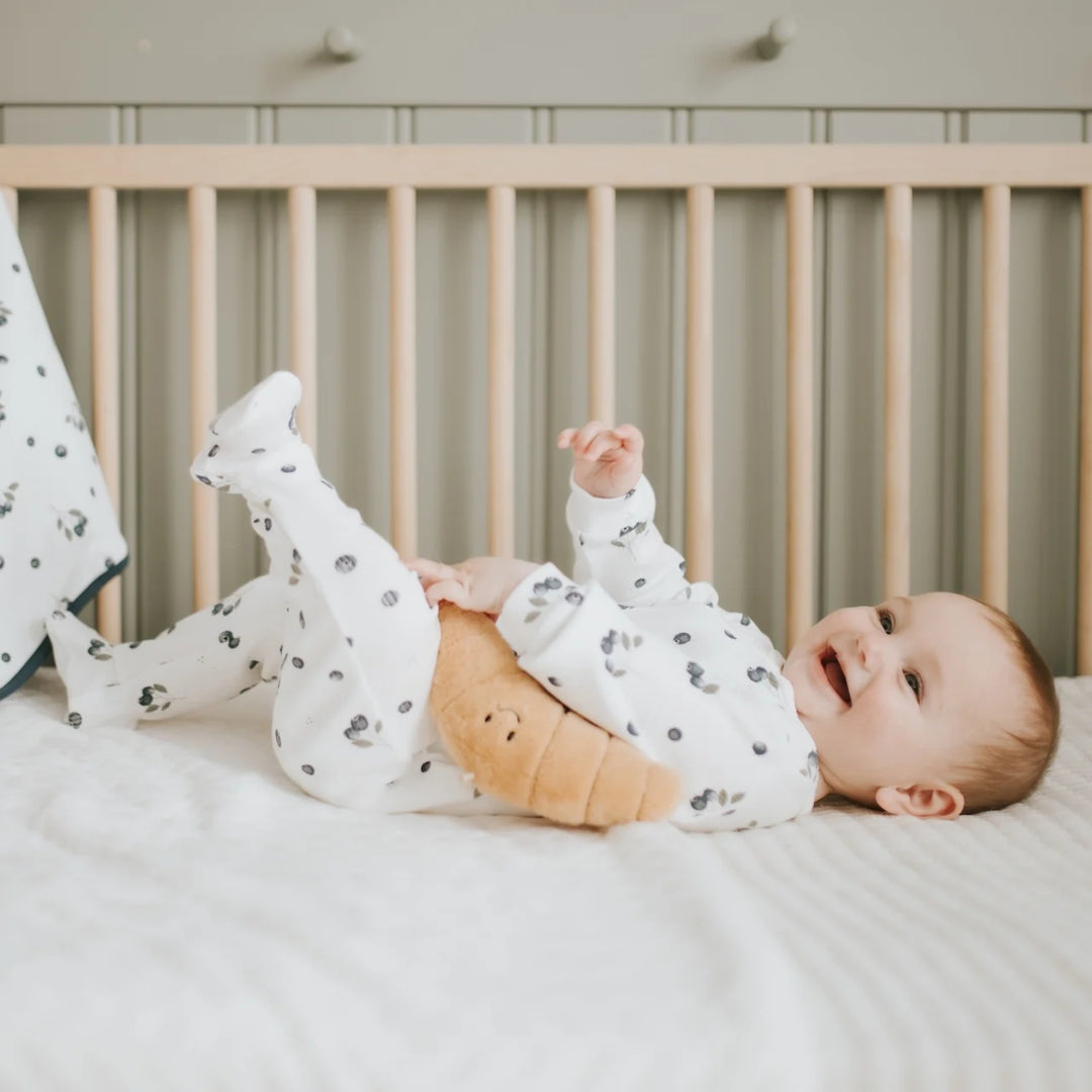 Petit Lem Baby Blueberries Ribbed Sleeper